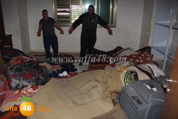 modahama lud 0216 (9).JPG